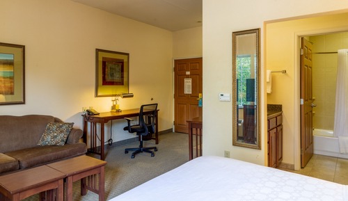 Studio Suite, 1 Queen Bed, Kitchen