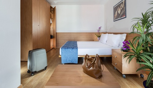 Basic Apartment, 1 Bedroom (Medium)