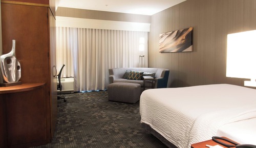 Room, 1 King Bed with Sofa bed, Non Smoking (Mobility/Hearing Access, Roll-in Shwr)