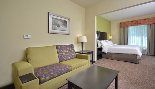 Suite, 1 King Bed, Roll-in Shower (Mobility Accessible, Communications)