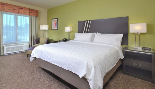 Standard Room, 1 King Bed, Accessible Bathtub (Communications, Mobility)