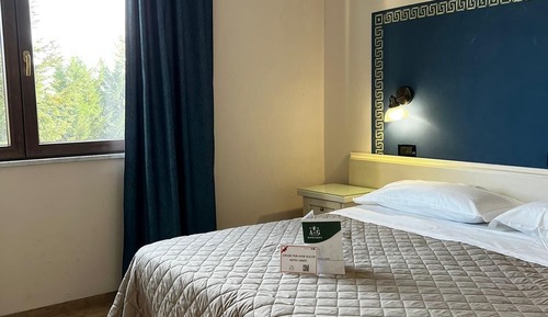 Basic Single Room