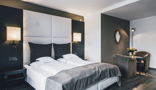 Standard Double Room, Mountain View