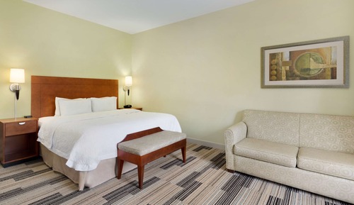 Room, 1 King Bed, Non Smoking (Study)