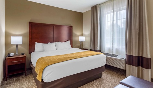 Suite, 1 Queen Bed, Accessible, Non Smoking (Upgrade)