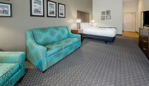 Family Room, 1 King Bed, Non Smoking (Roll-In Shower)