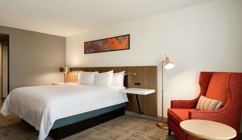 Room, 1 King Bed