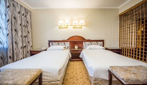 Business Twin Room, Multiple Beds