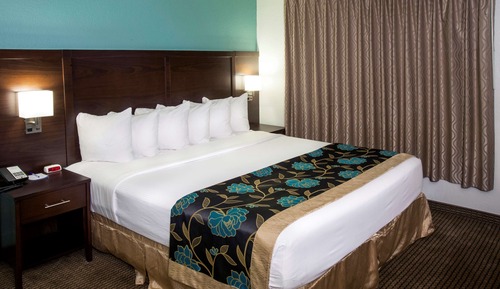 Room, 1 King Bed, Non Smoking (Economically Sized)