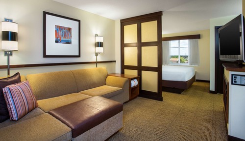 Room, 1 King Bed with Sofa bed (High Floor)