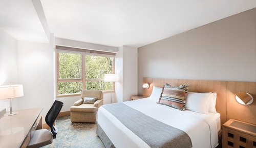 Deluxe Room, 1 King Bed