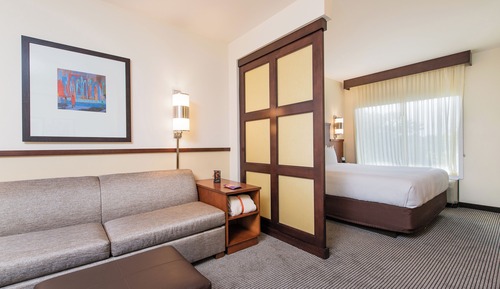 Standard Room, 1 King Bed with Sofa bed