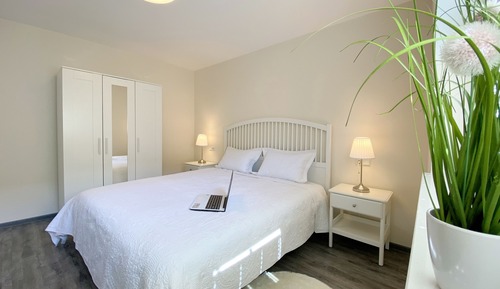 Basic Apartment