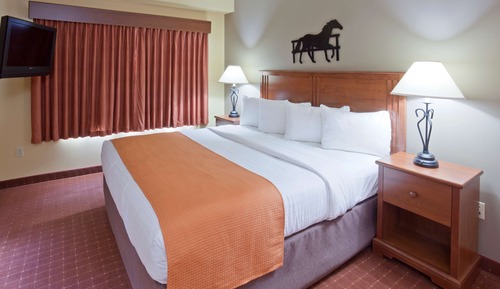 Room, 1 King Bed, Non Smoking