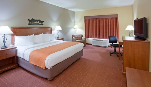 Room, 1 King Bed, Non Smoking (Efficiency)