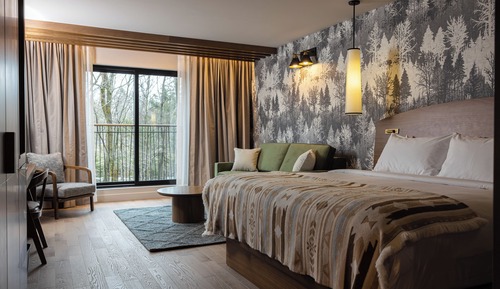Superior Room, 1 King Bed with Sofa bed