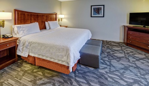 Room, 1 King Bed, Accessible (Hearing)