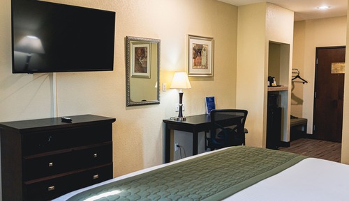 Standard Room, 1 King Bed, Non Smoking
