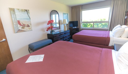 Suite, 1 Bedroom, 2nd Floor (No Pets)