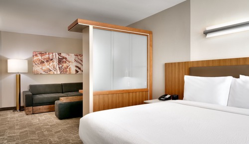 Suite, 1 King Bed