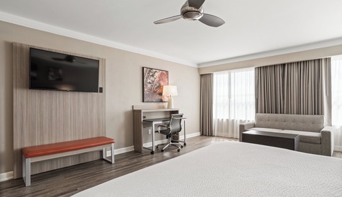 Executive Suite with King Size Bed and Jacuzzi Tub