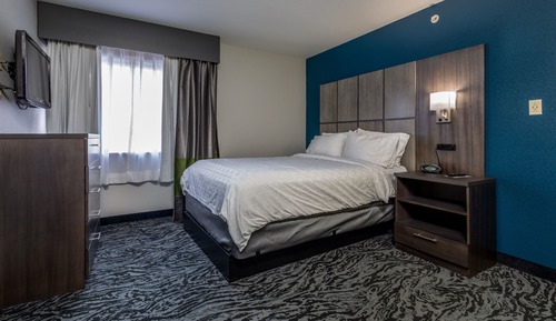 Studio Suite, 1 Queen Bed, Mobility Accessible, Kitchen (Communications)