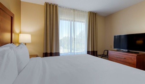 Suite, 1 King Bed with Sofa bed, Non Smoking