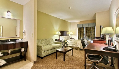 Suite, 1 King Bed with Sofa bed, Non Smoking