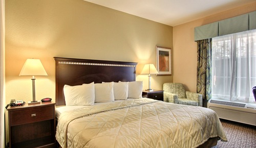 Standard Room, 1 King Bed, Non Smoking