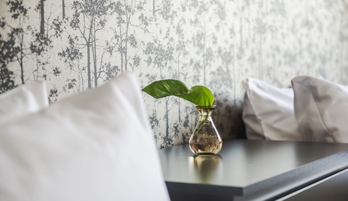 Standard Double Room, 1 Queen Bed