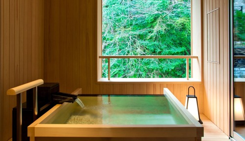Japanese Twin Room with Semi Open-Air Onsen (Riverside)