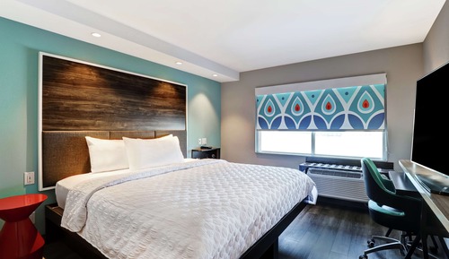 Room, 1 King Bed