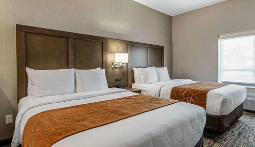 Suite 2 Queens Non Smoking 1 person Sofabed
