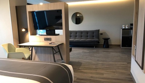 Suite, 1 King Bed with Sofa bed