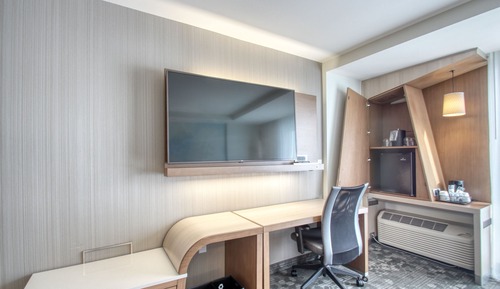 Room, 1 King Bed with Sofa bed, Non Smoking (Mobility Accessible, Tub)