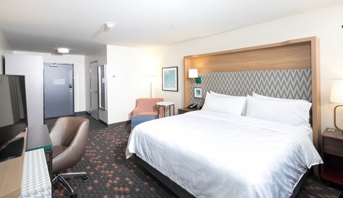 Standard Room, 1 King Bed, Roll-in Shower (Communications)