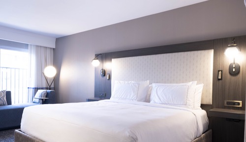 Room, 1 King Bed