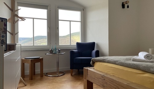 Basic Double Room, Ensuite, Mountain View (Forsthaus 11)