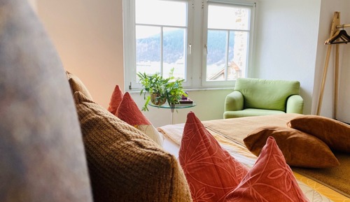 Basic Double Room, Ensuite, Mountain View (Forsthaus 12)