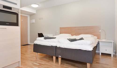 Junior Studio, 1 Queen Bed