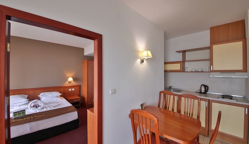 Standard Apartment, 1 Bedroom
