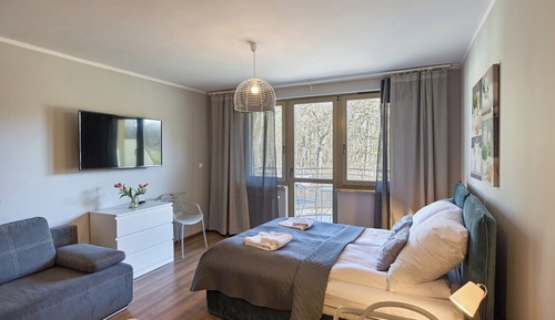 Standard Studio Suite, 1 Queen Bed with Sofa bed