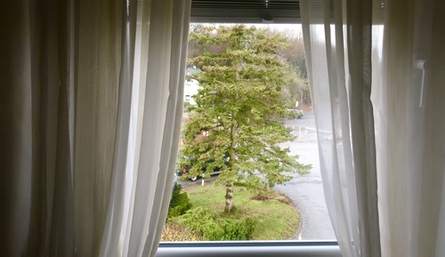 Economy Single Room, Private Bathroom