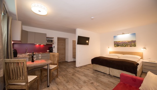 Apartment (10)