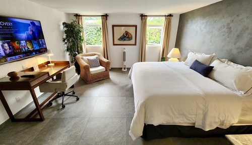Deluxe Double Room, Garden View