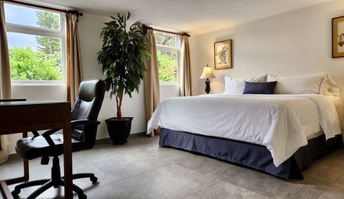 Comfort Double Room, Garden View