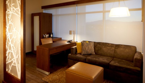 Room, 1 King Bed with Sofa bed, View