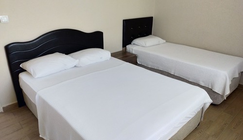 Basic Apartment
