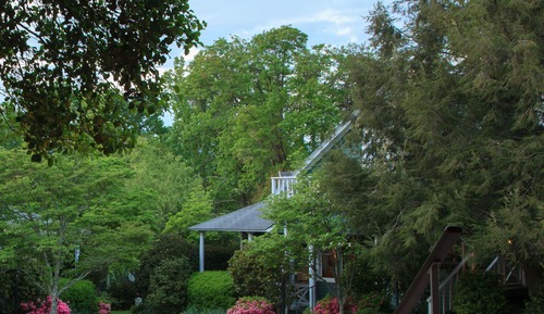 Surrey Cottage