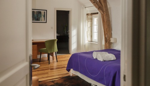 Business Double Room, Pool View (Rolin)